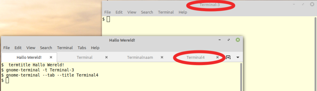 Afb. 4: Open een terminal in een tab